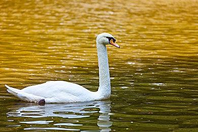 XGP 5月首发游戏阵容 《红霞岛》领衔