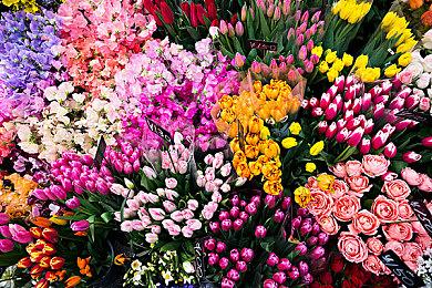 白金射击《SOL CRESTA》新DLC发售 追加多架经典主角机